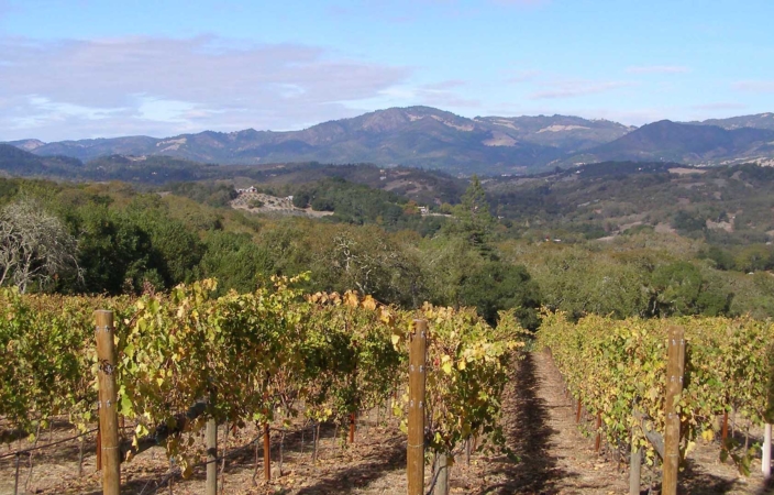 Central Valley Wine Country